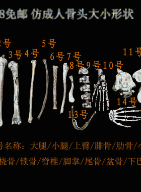 万圣节塑料骨头吓人玩具手掌脚掌大腿手臂骨肋骨摆件影视布景道具