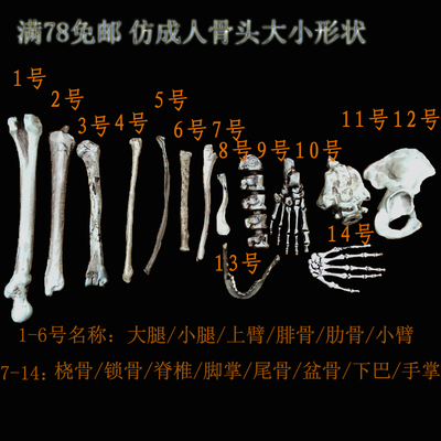 万圣节塑料骨头吓人玩具手掌脚掌大腿手臂骨肋骨摆件影视布景道具