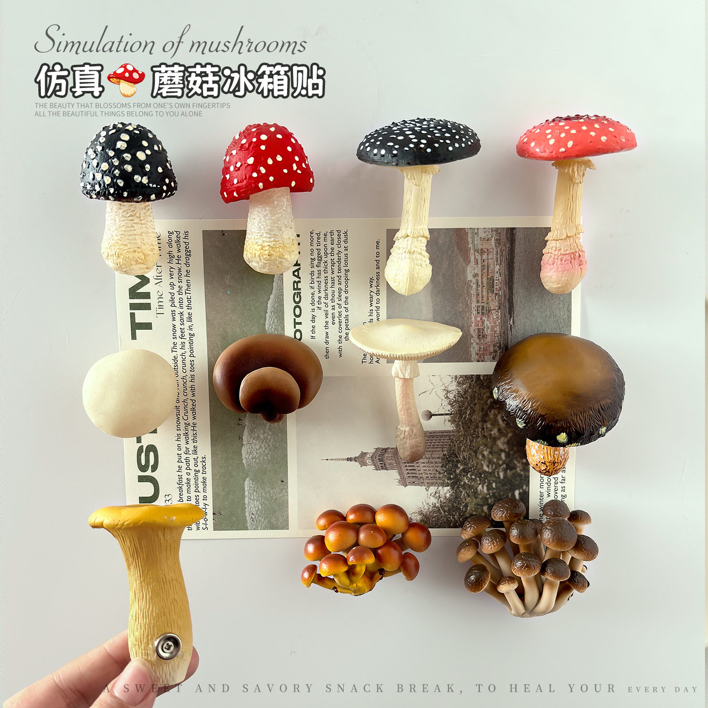 云南野生菌菇3D磁吸冰箱贴