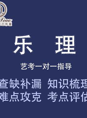 乐理网课指导视频上课真人授课定制学习内容