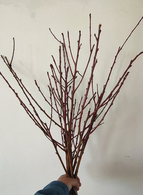 桃花枝干枝深山老桃树搬家乔迁租房手工带叉枝条镇家宅摆件鲜枝条