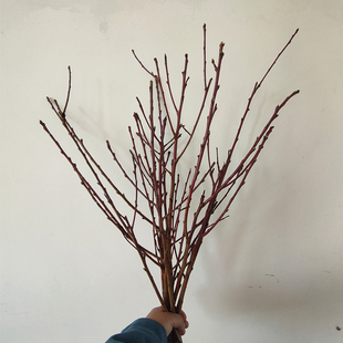 桃花枝干枝深山老桃树搬家乔迁租房手工带叉枝条镇家宅摆件鲜枝条