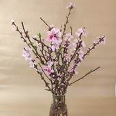 新鲜桃枝水培开花镇宅家用客厅办公室插花瓶寓意美好绿植泡水干枝