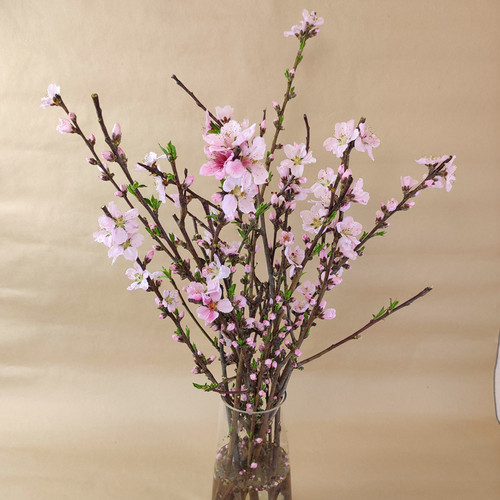 鲜桃花枝泡水干枝开花插花瓶摆件