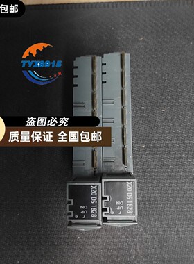 X20DS1828贝加莱模块