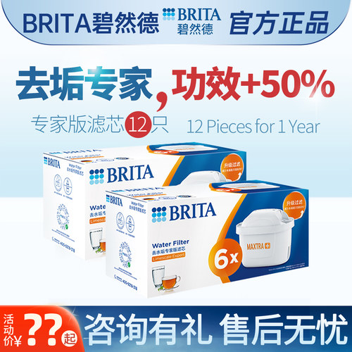 德国滤水壶碧然德滤芯专家版
