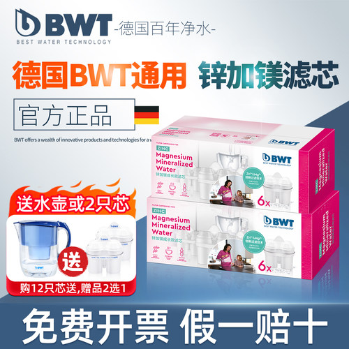 德国BWT滤芯锌加镁过滤净水滤芯