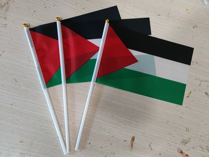 现货8号14*21CM带旗杆巴勒斯坦小国旗  手摇旗，巴勒斯坦手挥旗