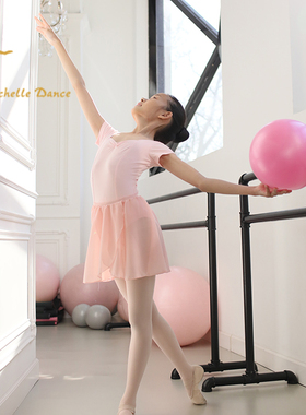 Michelle Dance PBT练习充气小球 芭蕾演员人手一件粉色紫色25cm