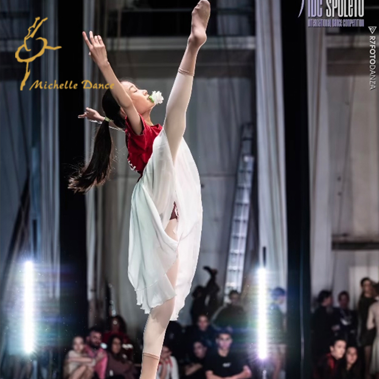 MichelleDance 飘逸芭蕾性格舞代表性裙RAD教师裙可以叠穿Classic