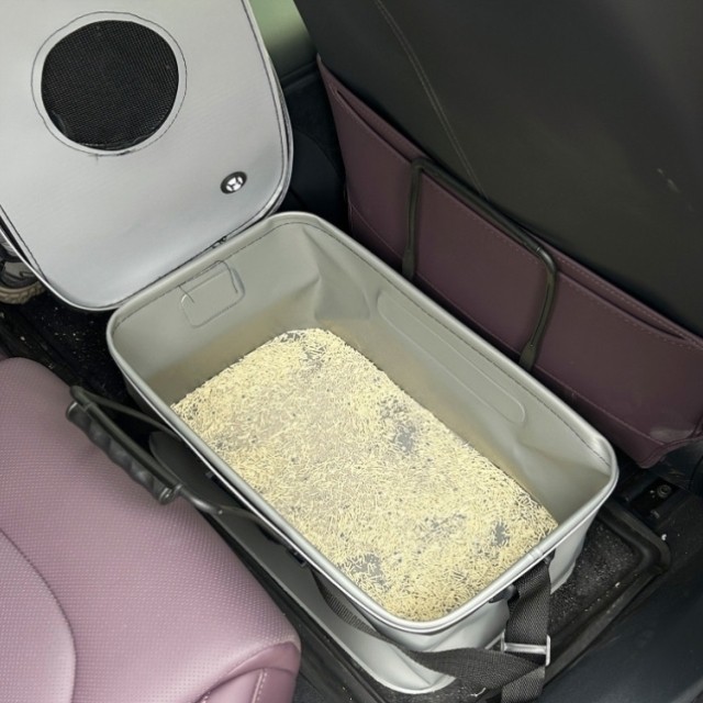 汽车载猫咪猫砂盆猫窝狗窝外出旅行长途舒适便携式可折叠装钓鱼桶,宠物/宠物食品及用品,猫狗车载垫,淘宝优惠券,粉丝福利购,淘宝优惠卷