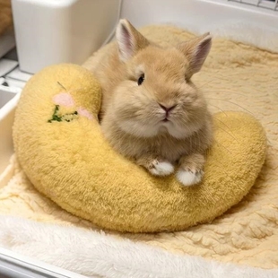 【趴趴小兔】侏儒兔睡觉窝躲避屋兔子小床秋冬保暖趴趴垫宠物用品
