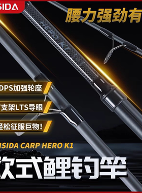 FEISIDA K1 新手入门 耐用 欧鲤杆三节3.5磅 欧鲤钓杆远投杆海杆