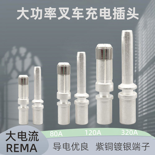 适用REMA80A160A320A端子叉车