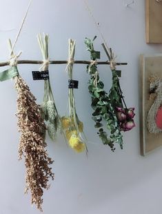 ins天然素雅倒挂干花壁饰墙面装饰花尤加利玫瑰美人草干花束