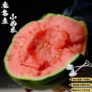 大兴庞各庄小西瓜礼盒装新鲜吊秧头茬西瓜水果L600媲美2k麒麟西瓜