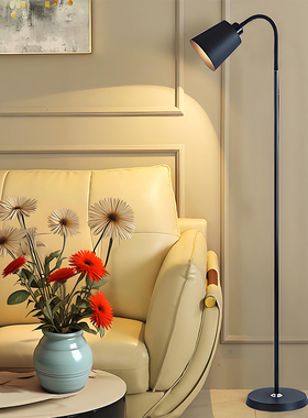 轻奢落地灯客厅卧室书房立式沙发灯小房间简约护眼遥控语音北欧风