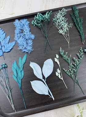 diy永生花戒指微景观花材料绣球