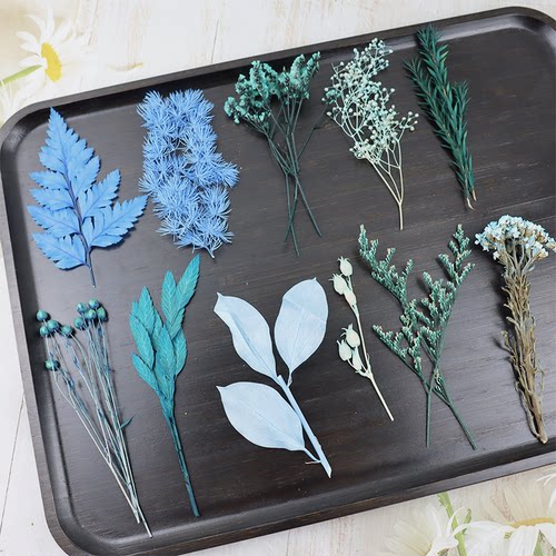 diy永生花戒指微景观花材料绣球