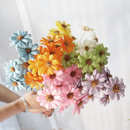 永生花拼接瓜子花海葵花家居木片软装ins风拍摄道具瓶DIY拉布布