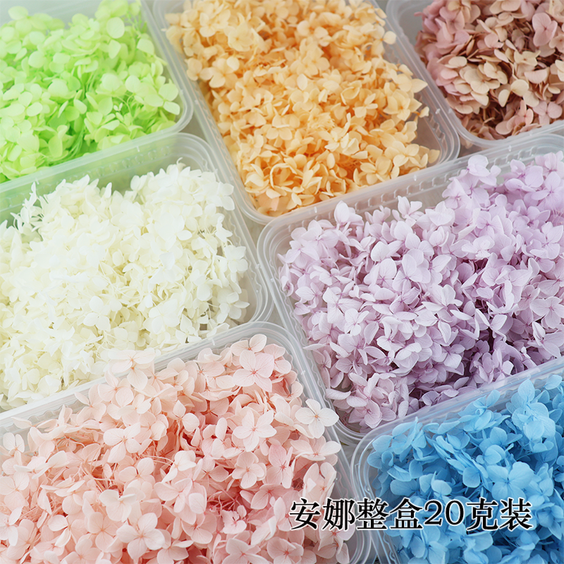 安娜绣球小叶花瓣球衣婚鞋盒