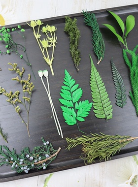 绿色系永生花植物叶子diy微景娃娃屋造景满天星戒指绣球车挂材料