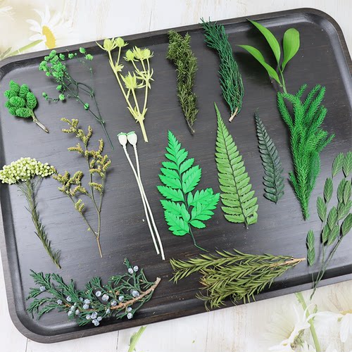 DIY微景观娃娃屋造景永生花戒指