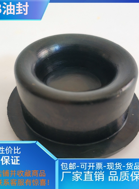 南方计量泵油封皮碗GB1800GB1500GB1000GB700GB0600GB0450适配CNP