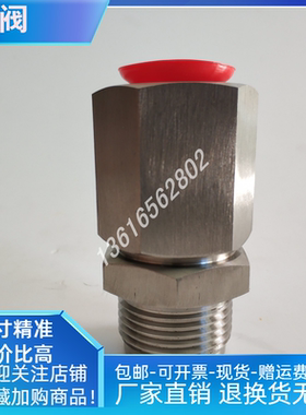 米顿罗计量泵不锈钢单向阀进出口阀GM0240SP1MNNGM330SPGM500SP适
