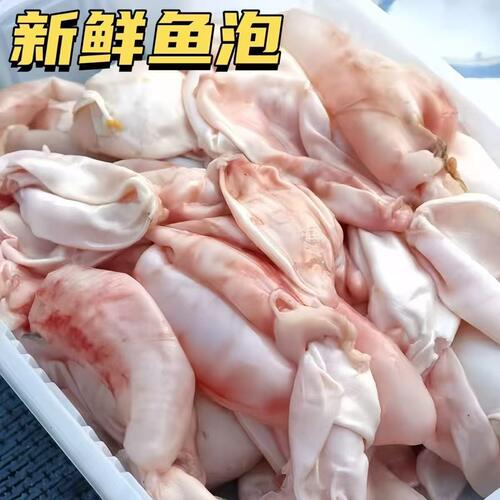 新鲜鱼泡内泡鱼泡大头鱼青草鱼泡鱼泡冷冻餐馆饭店酒店批发商用
