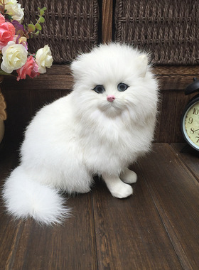 批发团购 真皮毛纯手工仿真波斯猫咪 高档礼品饰品工艺品影视