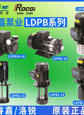 机床冷却水泵LDPB1V-2H-4V-15-18-20-30tpsp睿嘉线切割卧式多级泵