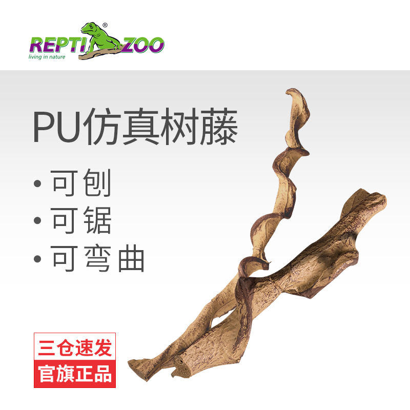 reptizoo爬虫藤条变色龙守宫睫角