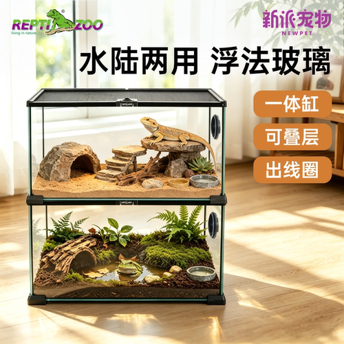 瑞皮蜥蜴爬宠爬虫角蛙饲养玻璃缸