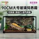 wacool玩酷爬宠缸守宫陆龟蜥蜴蛇专用饲养箱可拆卸爬缸玻璃仓鼠笼