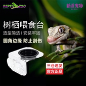 reptizoo爬虫睫角守宫食盆水盆蜥蜴食盆甲虫果冻台睫角守宫果泥盆