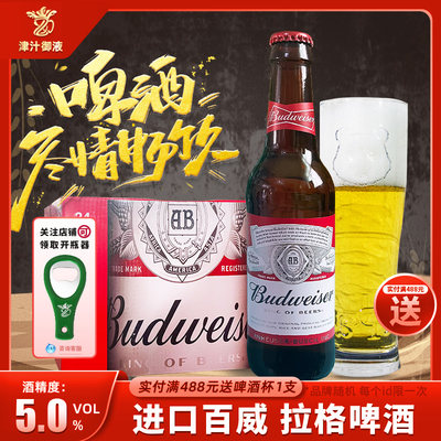 原装进口百威啤酒布德维啤酒