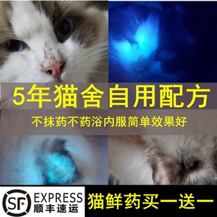 猫舍自用专用猫掉毛起皮屑幼猫皮肤结痂传染
