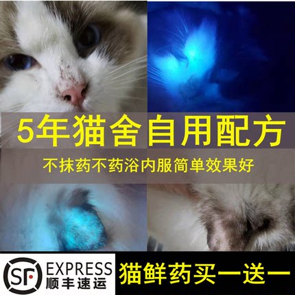猫舍自用专用猫掉毛起皮屑幼猫皮肤结痂传染
