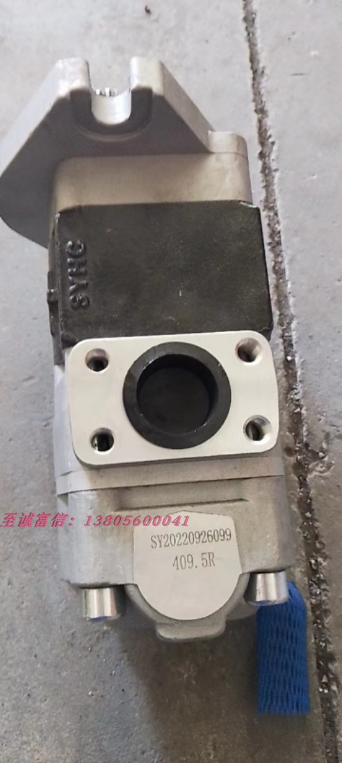 SAIYUAN 液压齿轮油泵 409.5R 双联泵 液压泵