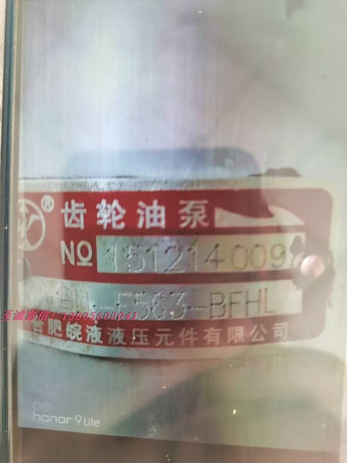 合肥皖液液压齿轮油泵 CBN-F563-BFHL BFH BFP环卫车液压油泵