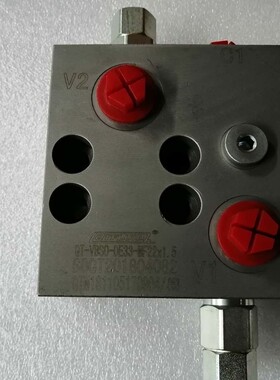 双向平衡阀QTFLUID环卫车 平衡阀 QT-VBSO-DE33-MF27*2  MF22*1.5