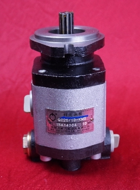 QC25/18 SC10E  转向油泵 助力泵 QC25/10-KMS 合肥力威汽车油泵