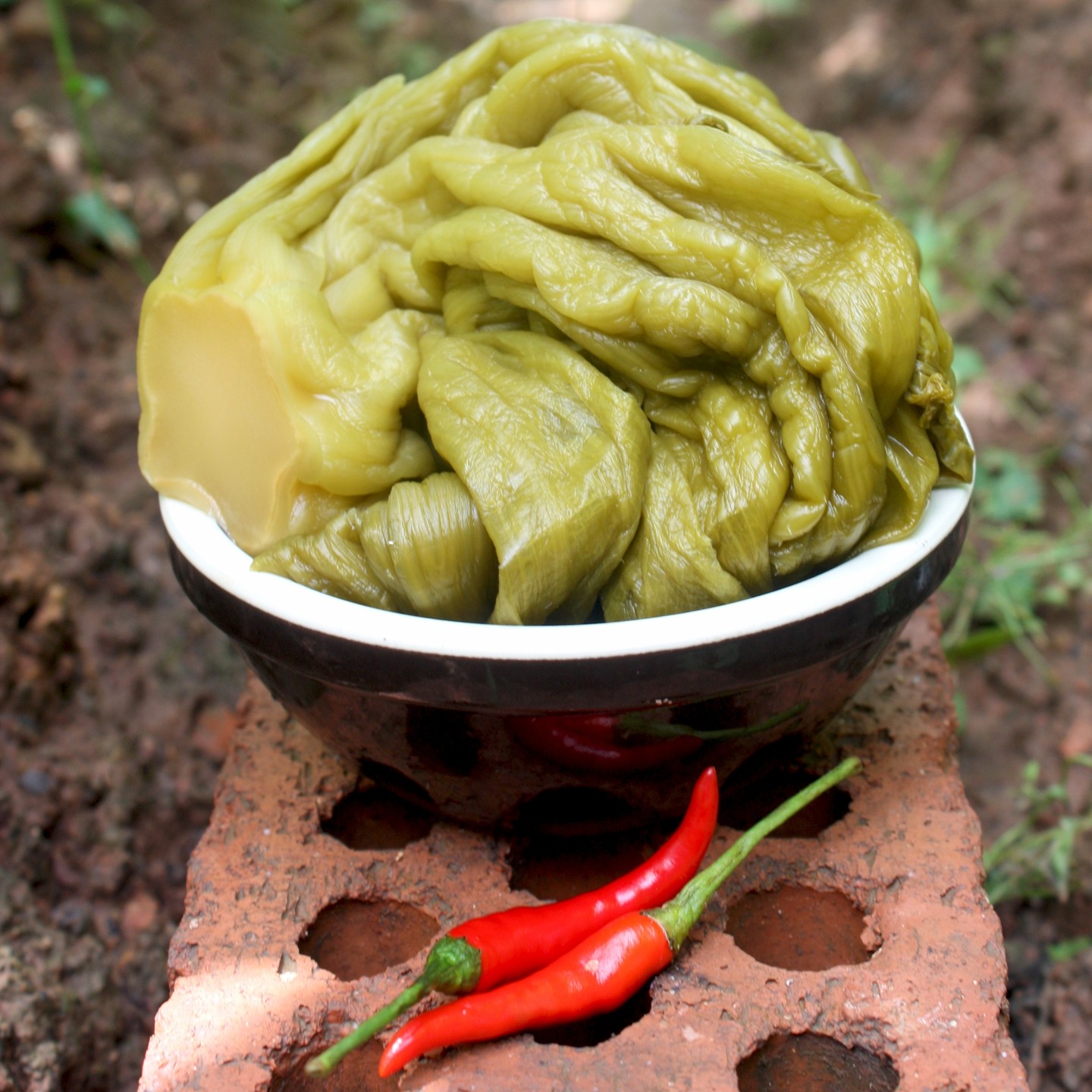 你在找的 正宗老坛酸菜  四川泡菜传统发酵 川菜厨房特色鱼调料