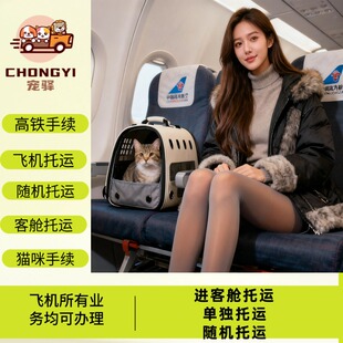 全国空运猫咪宠物托运飞机航空高铁检疫手续宠物进客舱托运疫苗本