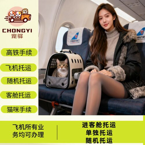 全国空运猫咪宠物托运飞机航空高铁检疫手续宠物进客舱托运疫苗本