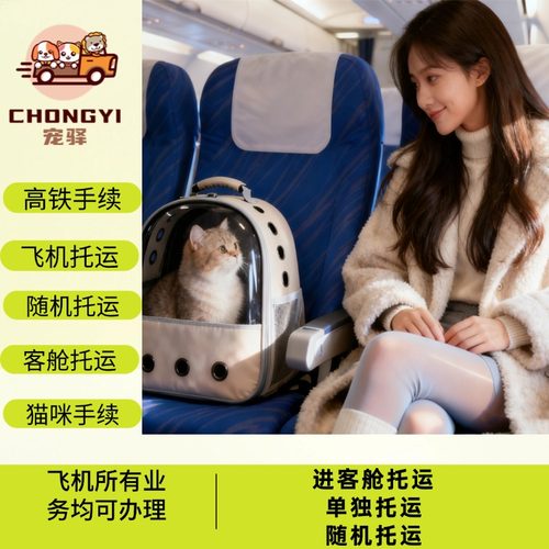 全国空运猫咪宠物托运飞机航空高铁检疫手续宠物进客舱托运疫苗本