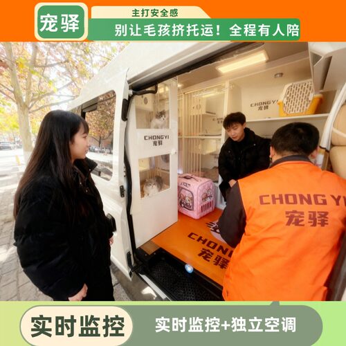 宠物托运全国空调车托运服务猫咪