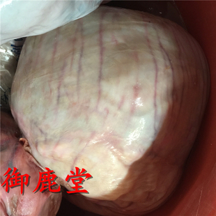 东北 鲜鹿胎 整个鹿胎 带胎衣 鹿胎盘 小鹿羔 羊水 速冻 顺丰包邮