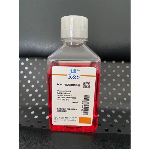 内皮细胞培养基 ECM 500ml/套RS1001